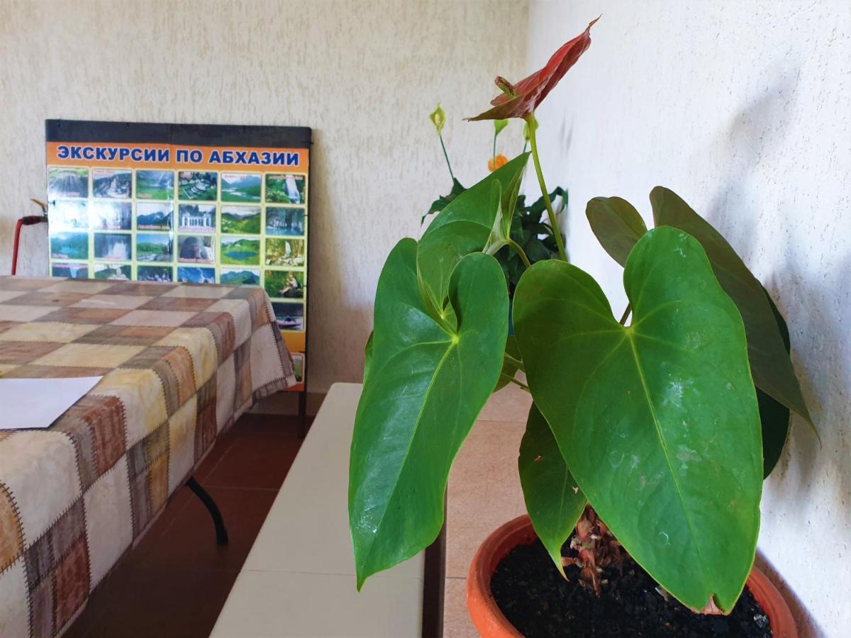 Guest House Lykhny Gagra Esterno foto